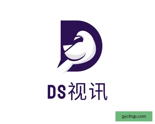 介绍DS视讯